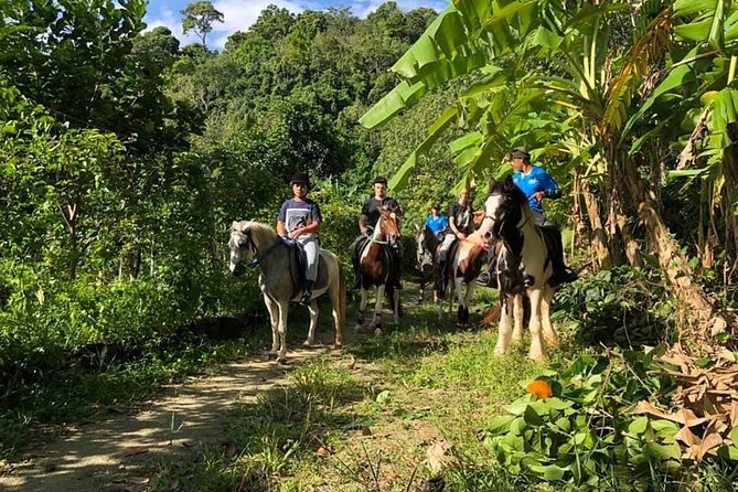 Horseback Riding 1 hour trail - Getting There and Planning Your Day