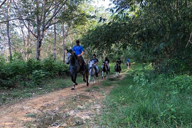 Horseback Riding 1 hour trail - Through Rubber Trees and Fruit Orchards