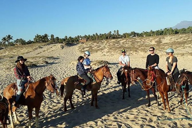 Horseback riding - From Todos Santos to the Playa La Cachora coast