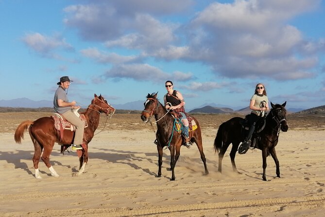 Horseback riding - What the ride feels like for a first-timer