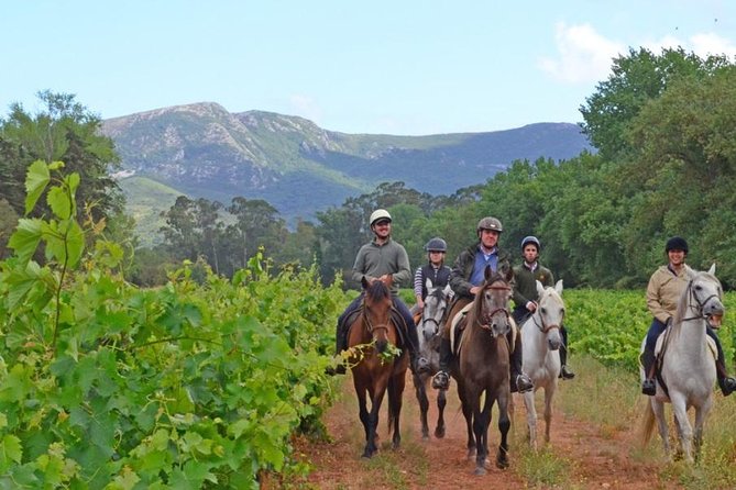 Horseback Riding, 4 Options-Mountain, Lesson Ring, Beach (2Hours) - Key Points Before You Book