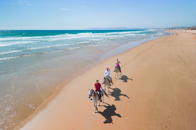Horseback Riding, 4 Options-Mountain, Lesson Ring, Beach (2Hours) - From Lisbon Hotels to the Costa da Caparica Coast