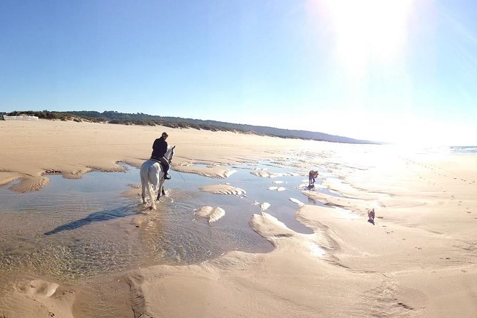 Horseback Riding, 4 Options-Mountain, Lesson Ring, Beach (2Hours) - Choosing Between Mountain, Lesson Ring, and Beach Options