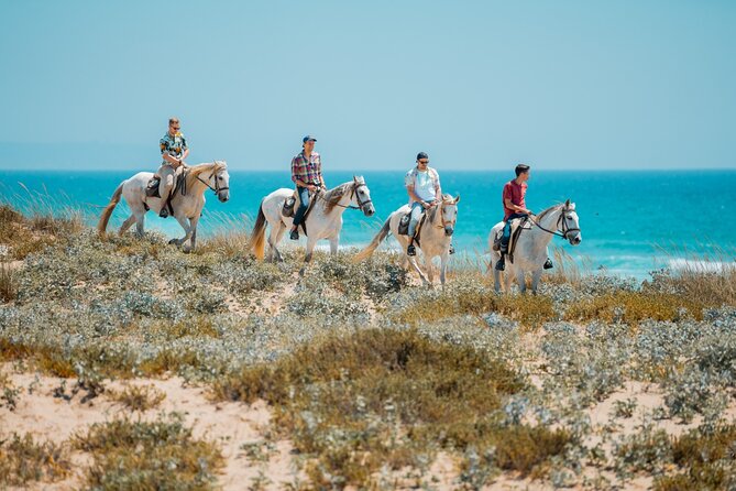 Horseback Riding, 4 Options-Mountain, Lesson Ring, Beach (2Hours) - Reaching the Beach and Atlantic Views