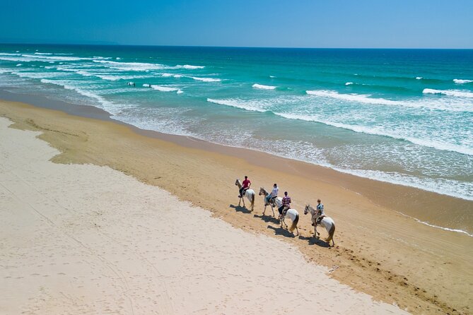 Horseback Riding, 4 Options-Mountain, Lesson Ring, Beach (2Hours) - Guides, Safety, and Personal Attention
