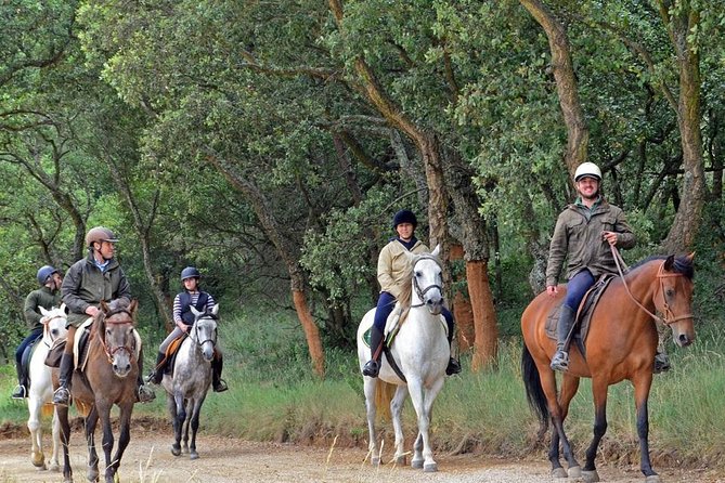 Horseback Riding, 4 Options-Mountain, Lesson Ring, Beach (2Hours) - Is $154.76 a Fair Price?