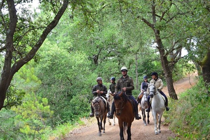 Horseback Riding, 4 Options-Mountain, Lesson Ring, Beach (2Hours) - Who Will Enjoy This Ride Most?