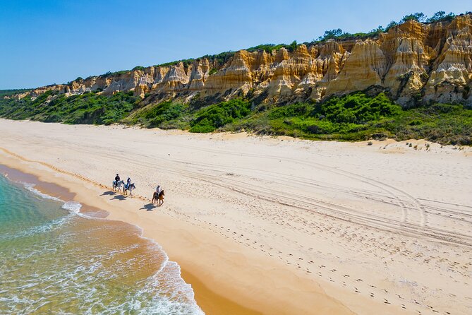 Horseback Riding, 4 Options-Mountain, Lesson Ring, Beach (2Hours) - The Pine Forest and Fossil Cliffs