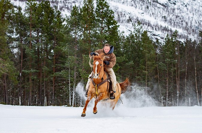 Horseback riding - What the $279.96 price really buys