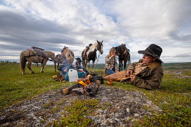 Horseback riding - Who should book this Alta horse ride?