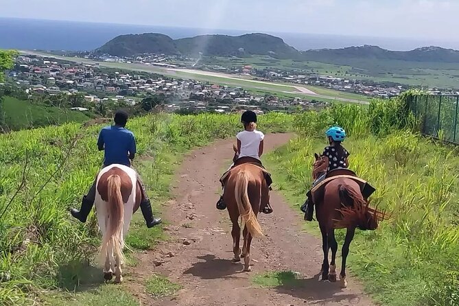 Horseback Riding, A Scenic Escape - Meeting the horses and learning the basics