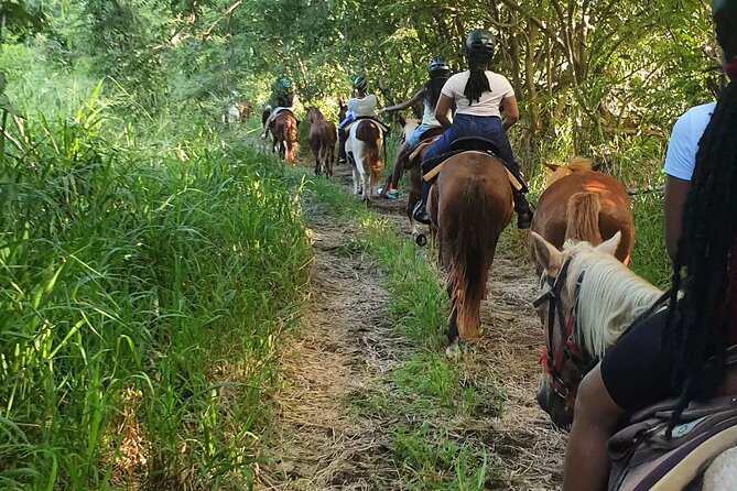 Horseback Riding, A Scenic Escape - Small groups make the ride easier to manage