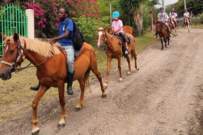 Horseback Riding, A Scenic Escape - Who should book this ride?