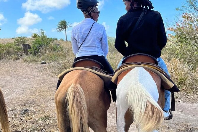 Horseback Riding, A Scenic Escape - Riding through mangoes, guava, and sea grapes