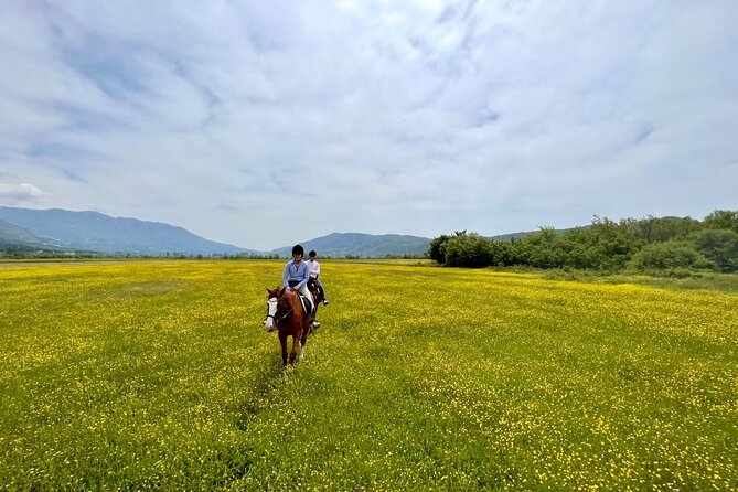 Horseback Riding Across River Ljuta with transport - Meeting Antea and Iris at the ranch