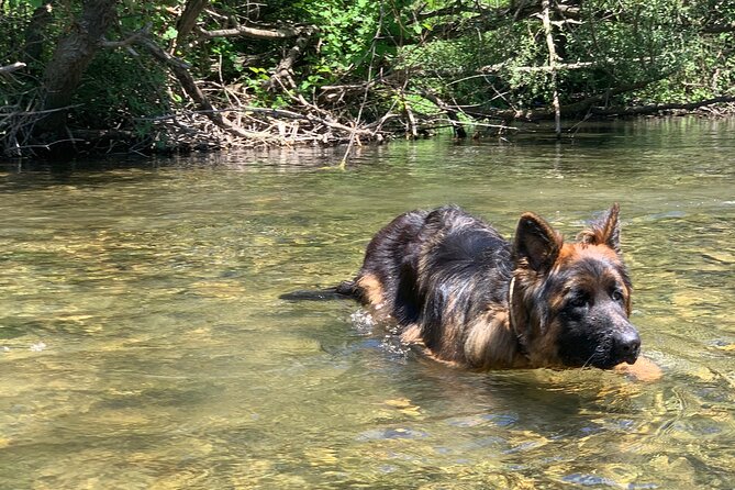 Horseback Riding Across River Ljuta with transport - What the 4-hour-30-minute schedule means