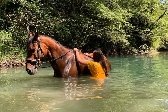 Horseback Riding Across River Ljuta with transport - Is $230.36 per person good value?