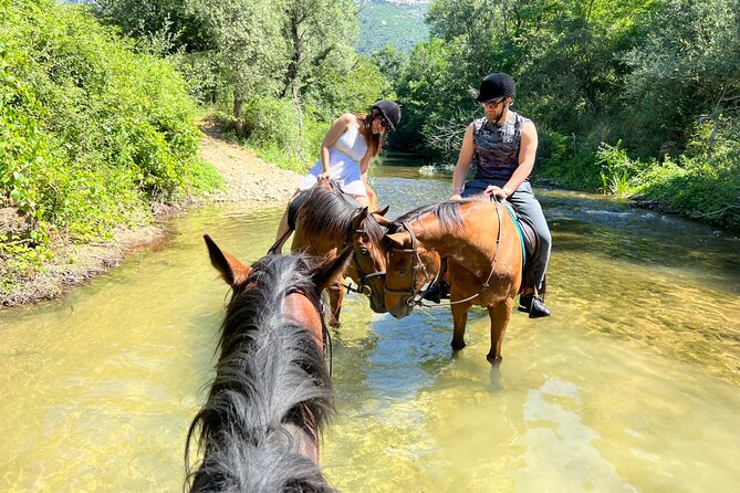 Horseback Riding Across River Ljuta with transport - Who will enjoy this ride most