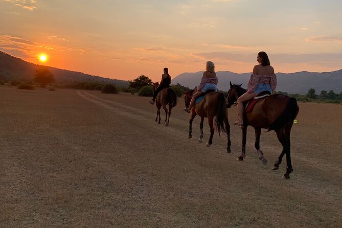 Horseback Riding Across River Ljuta with transport - Riding through Konavle’s open meadows
