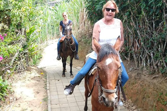 Horseback Riding Adventure from Medellin - Rivers, rocky tracks, and wildlife sightings