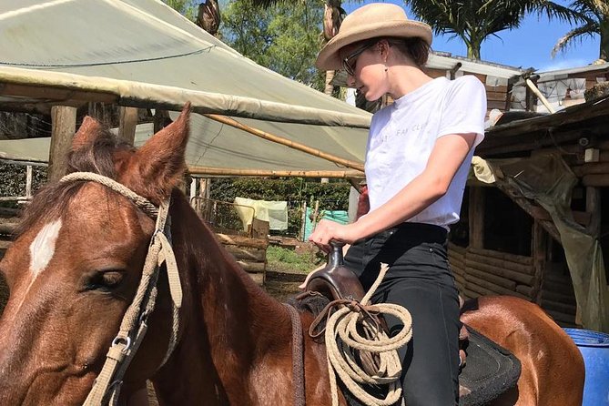 Horseback Riding Adventure from Medellin - Stops, refreshments, and the return to Medellín