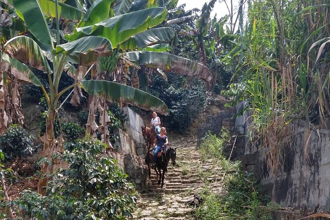 Horseback Riding Adventure from Medellin - How the private format affects the experience