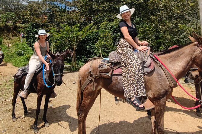 Horseback Riding Adventure from Medellin - Meeting the horse and learning the basics