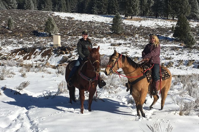 Horseback Riding Adventure from Reno - A closer look at the 9:30 am departure