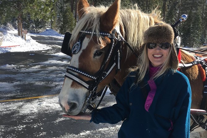 Horseback Riding Adventure from Reno - What is included for the $240 price
