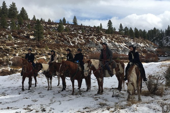 Horseback Riding Adventure from Reno - Practical booking advice