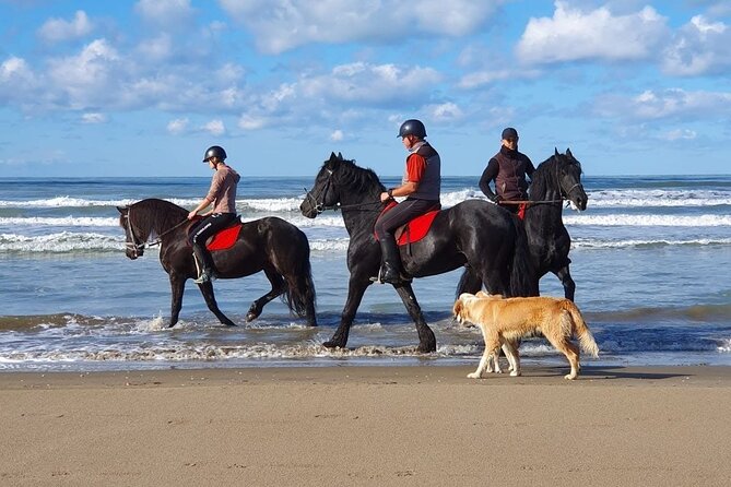 Horseback Riding Adventure in Durrës for Experienced Riders - Why trainer Vittorio matters