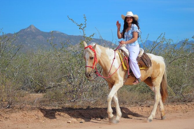 Horseback Riding Adventure in Playa Migriño with Tequila Tasting - The ocean viewpoint is the tour’s big reward