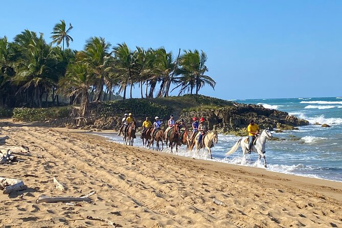 Horseback Riding Adventure Punta Cana - Quick takeaways