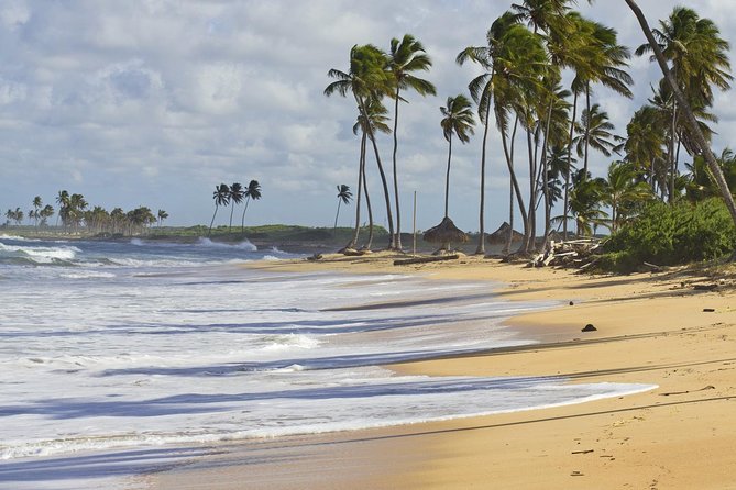 Horseback Riding Adventure Punta Cana - Wildlife, scenery, and the photo stop