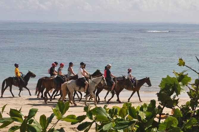 Horseback Riding Adventure Punta Cana - What the $40 price really buys