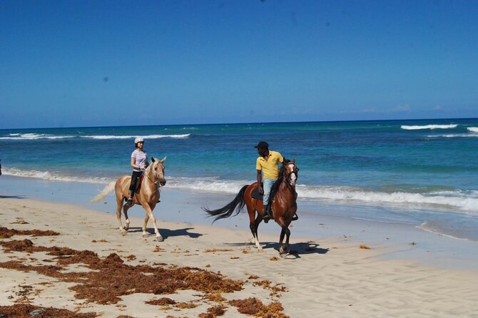 Horseback Riding Adventure Punta Cana - Who will enjoy this ride most
