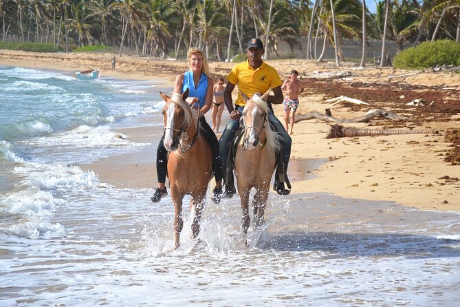 Horseback Riding Adventure Punta Cana - Choosing a horse and getting ready