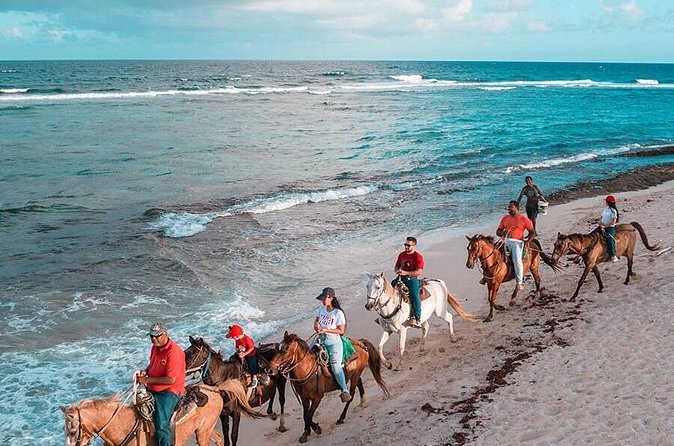 Horseback Riding Adventure to Macao Alto Beaches in Punta Cana - Booking, cancellation, and useful planning tips