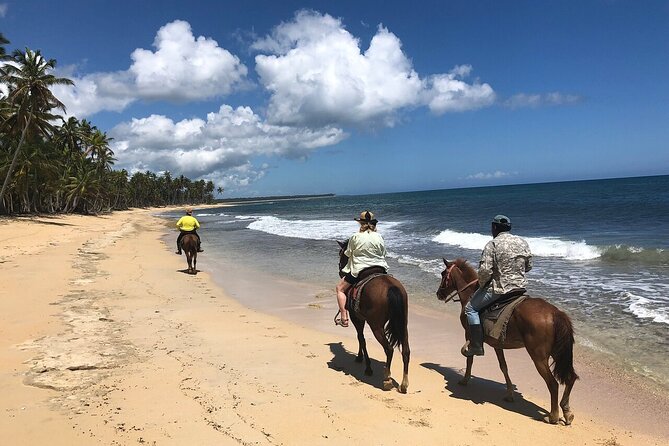 Horseback Riding Adventure to Macao Alto Beaches in Punta Cana - Through villages and farmland