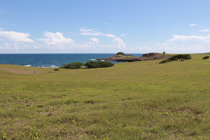 Horseback Riding Adventure Tour in St. Lucia - Riding through the water and swimming with your horse