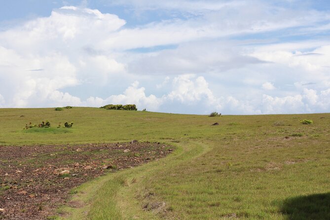 Horseback Riding Adventure Tour in St. Lucia - Who will enjoy this St. Lucia horse ride