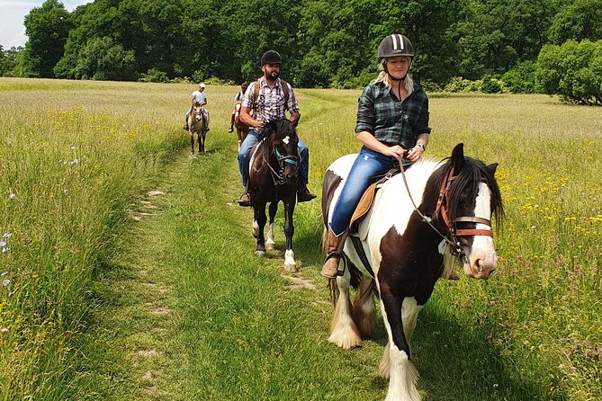 Horseback riding adventure tour through Brasov landscape - Key points to know before you book