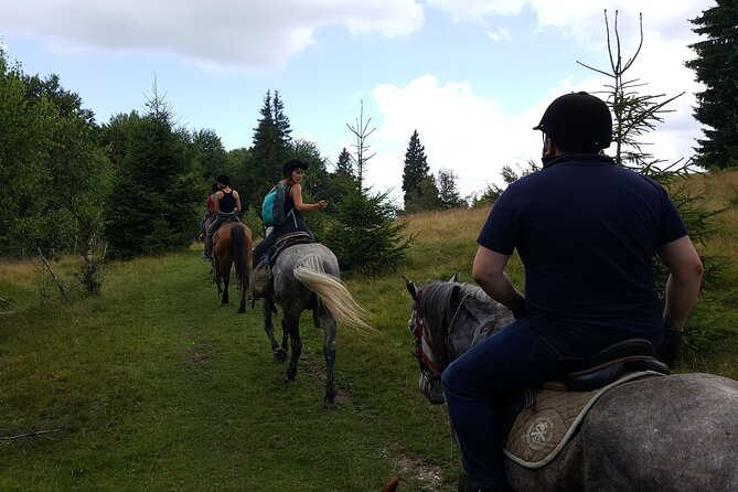 Horseback riding adventure tour through Brasov landscape - Choosing the right horse and pace