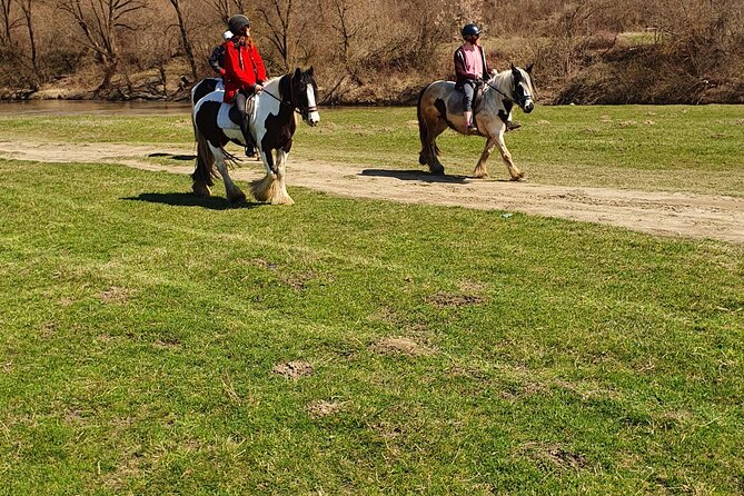 Horseback riding adventure tour through Brasov landscape - Why the private format is worth considering