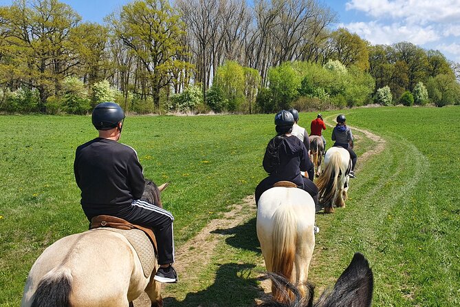 Horseback riding adventure tour through Brasov landscape - Returning to the ranch for a Romanian lunch