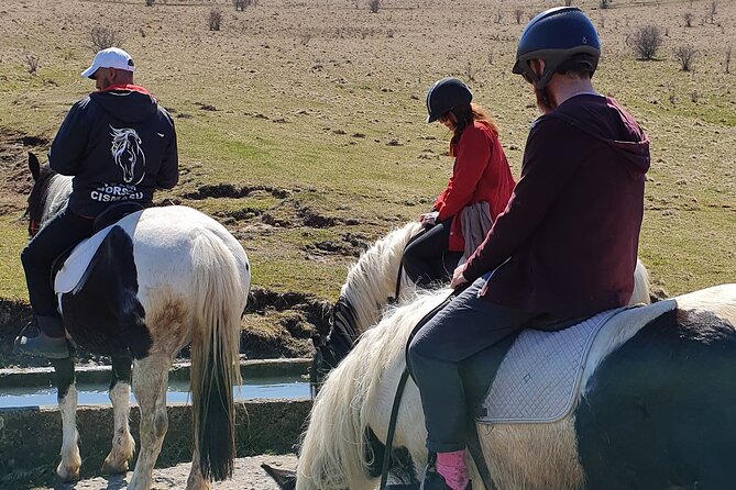 Horseback riding adventure tour through Brasov landscape - Guides, communication, and the personal touch