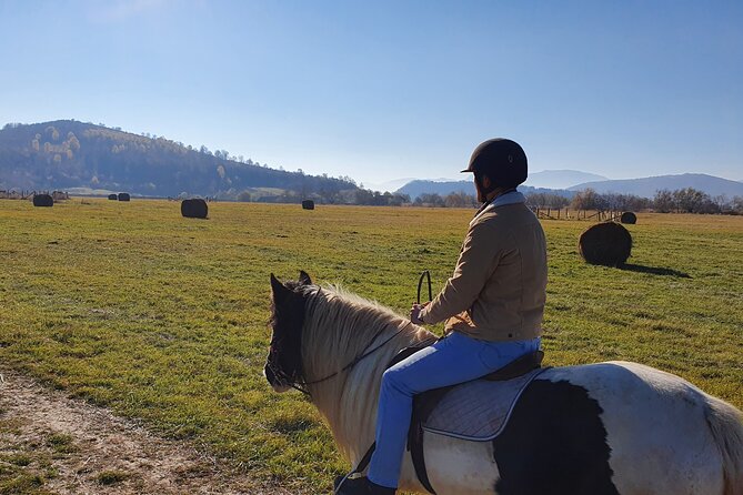 Horseback riding adventure tour through Brasov landscape - Timing, weather, and practical planning