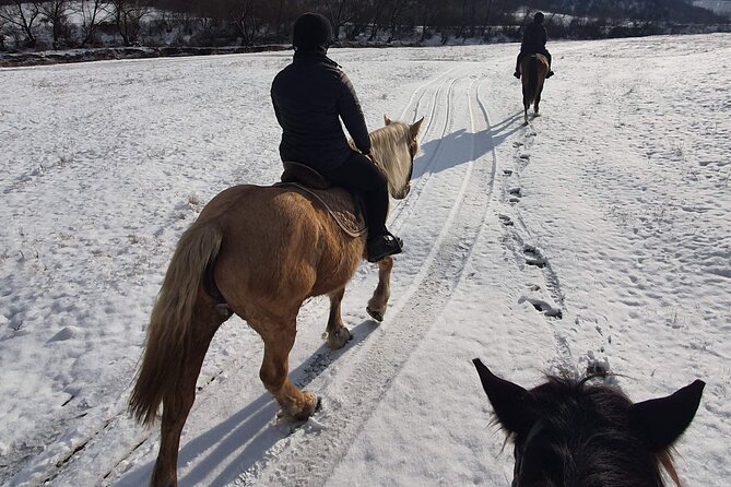 Horseback riding adventure tour through Brasov landscape - Riding fields, hills, and forest paths