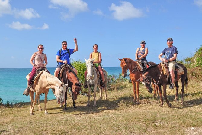 Horseback riding along Macao beach from Punta Cana - Key points to know before you book