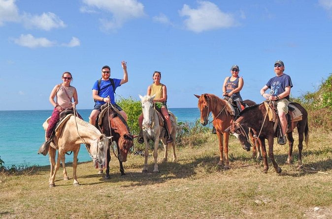 Horseback riding along Macao beach from Punta Cana - How much value do you get for $65?